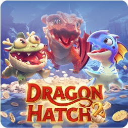 dragon hatch